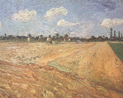 Vincent Van Gogh Ploughed Field (nn04) oil painting image